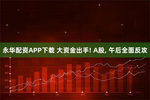 永华配资APP下载 大资金出手! A股, 午后全面反攻