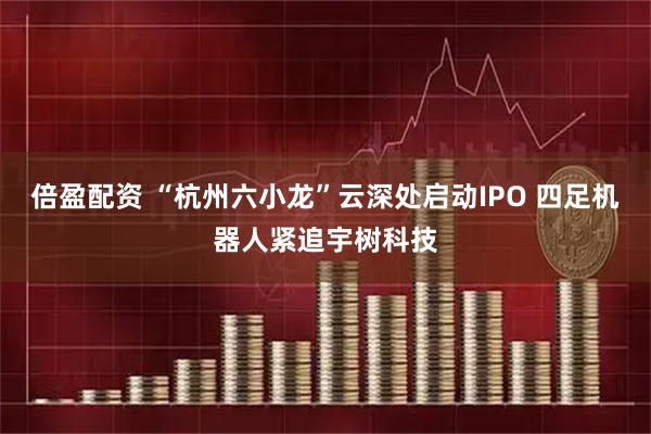 倍盈配资 “杭州六小龙”云深处启动IPO 四足机器人紧追宇树科技
