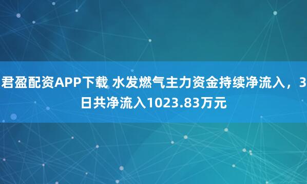 君盈配资APP下载 水发燃气主力资金持续净流入，3日共净流入1023.83万元